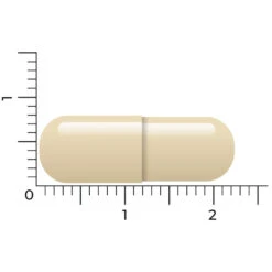 Vitakruid Para Detox -Metagenics Winkel 1023959 5