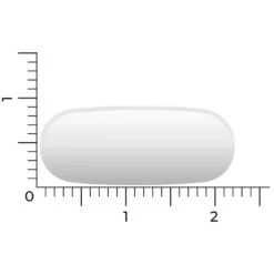 Vitakruid Msm 1000 Mg Vitamine C -Metagenics Winkel 1023983 4