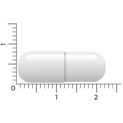 Vitakruid B3 Niacinamide 500 Mg 8 Vitakruid B3 Niacinamide 500 Mg -Metagenics Winkel 1024009 4