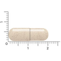 Vitakruid Ashwagandha Ksm 9 Vitakruid Ashwagandha Ksm -Metagenics Winkel 1024018 5