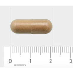 AOV 828 Salvia-extract 7 AOV 828 Salvia-extract -Metagenics Winkel 1029464 4