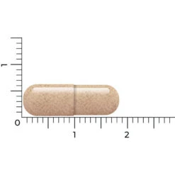 Vitakruid Lactoferrine 150 Mg 7 Vitakruid Lactoferrine 150 Mg -Metagenics Winkel 1054157 4