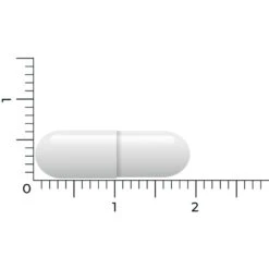 Vitakruid Lactase Optiferm 3000 Fcc 9 Vitakruid Lactase Optiferm 3000 Fcc -Metagenics Winkel 1058191 5