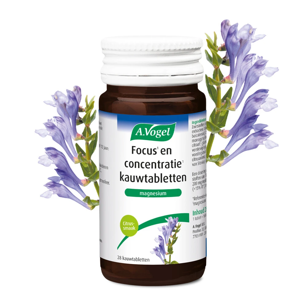 A.Vogel Focus En Concentratie 2 A.Vogel Focus En Concentratie - Afbeelding 2