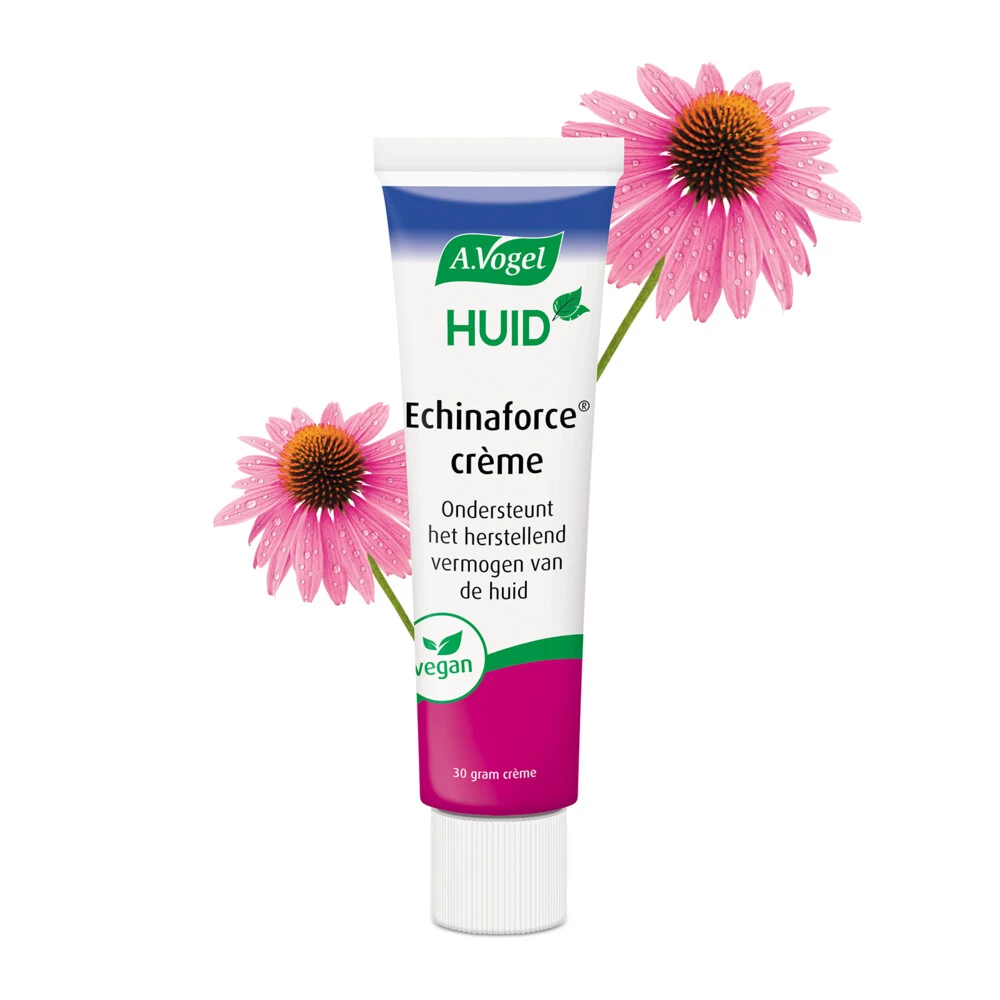 2x A.Vogel Creme Echinaforce 2 2x A.Vogel Creme Echinaforce - Afbeelding 2