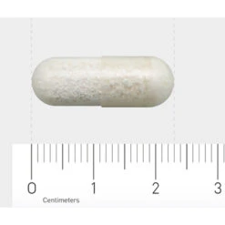 Orthica L-Lysine-500 -Metagenics Winkel 706324 4