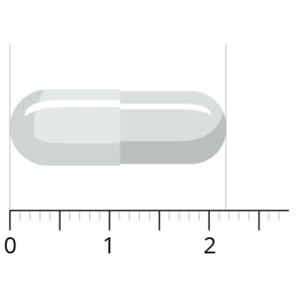 Vitals Vitamine B5 Pantoth 250mg 2 Vitals Vitamine B5 Pantoth 250mg - Afbeelding 2