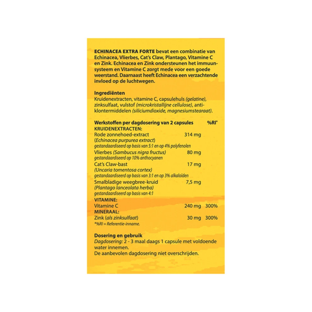 Bloem Echinacea 2 Bloem Echinacea - Afbeelding 2