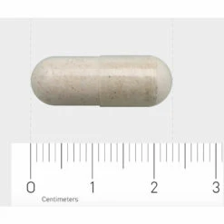 Garden Of Life Raw Vitamine B12 7 Garden Of Life Raw Vitamine B12 -Metagenics Winkel 888451 4