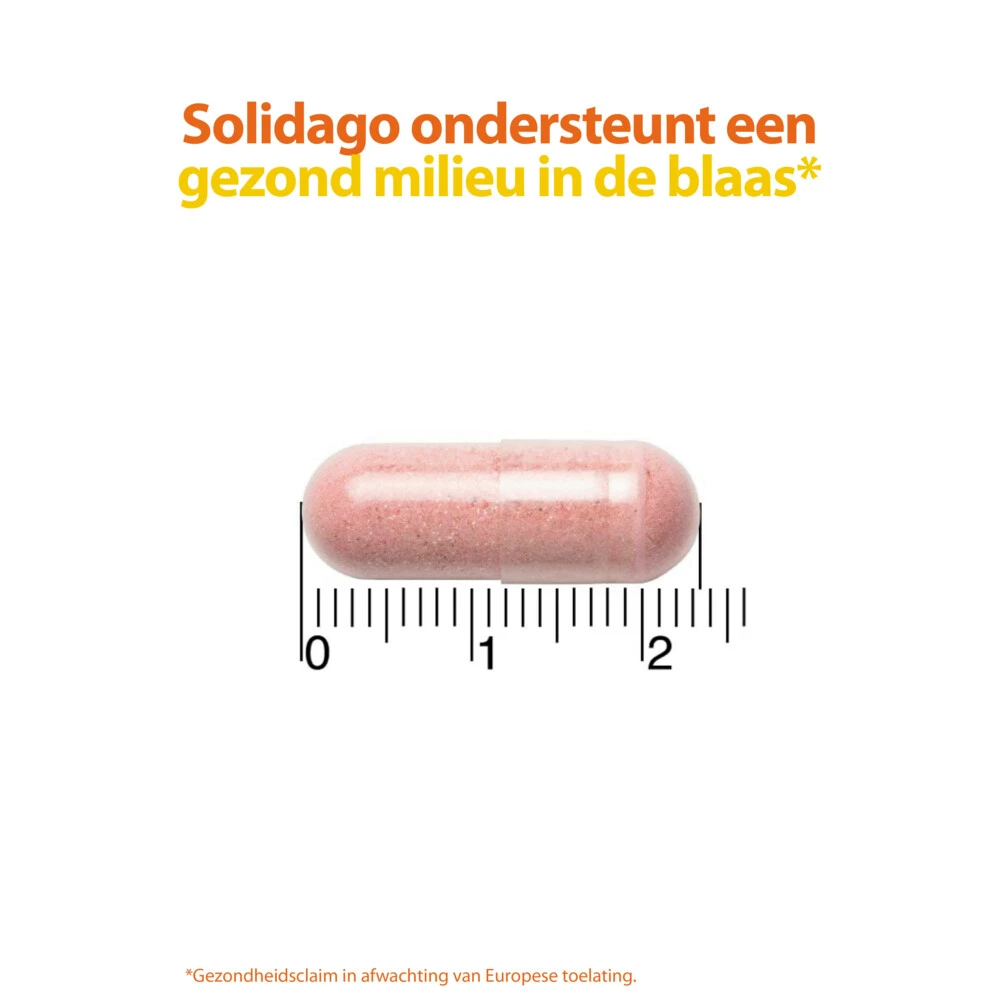 2x Roter Cystiberry 4 2x Roter Cystiberry - Afbeelding 4