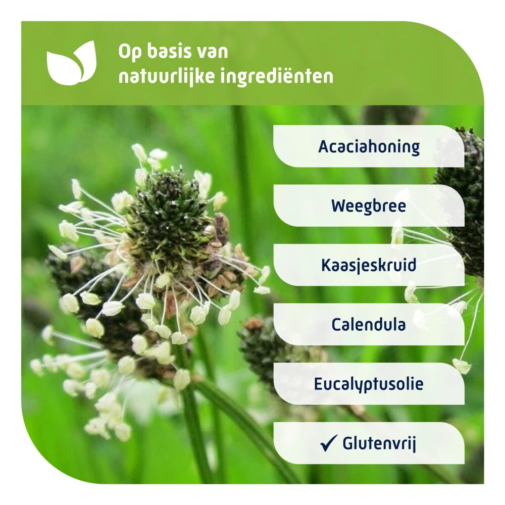 Natterman Voor Alle Hoest Hoestdrank 4 Natterman Voor Alle Hoest Hoestdrank - Afbeelding 4