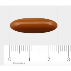 Orthica Menopauze Protect 7 Orthica Menopauze Protect -Metagenics Winkel 976281 4