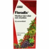 Floradix Vloeibaar Ijzer-Elixer Met Vitamines