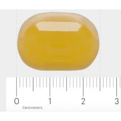 Orthica Dino Omega 3 -Metagenics Winkel 996802 4